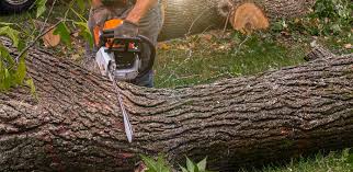 Best Soil Testing and Treatment  in Monticello, UT